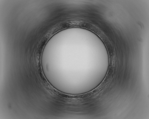 X0000113260737200909101249