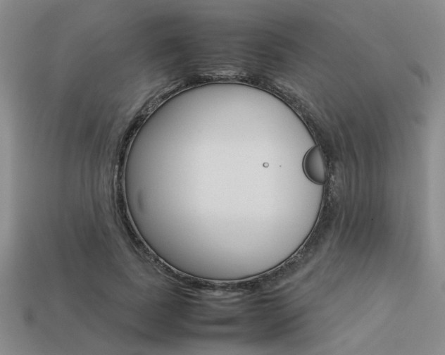 X0000113260739200909101249