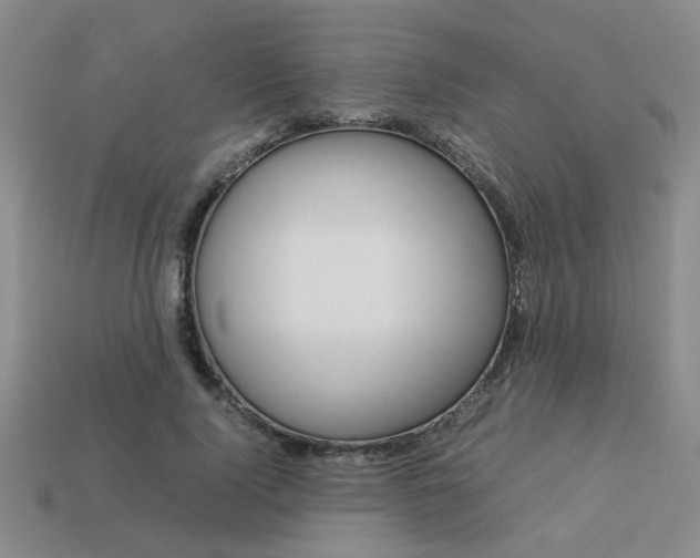 X0000113260740200909101249
