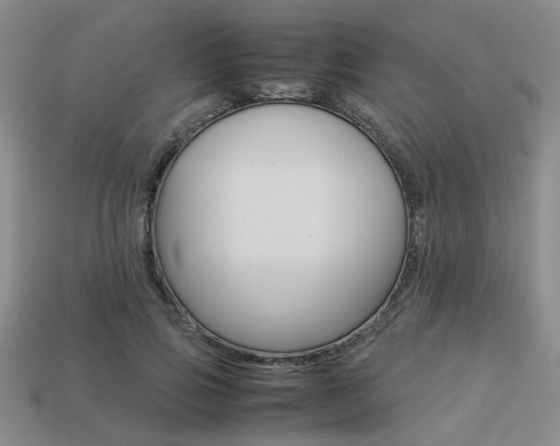 X0000113260741200909101249