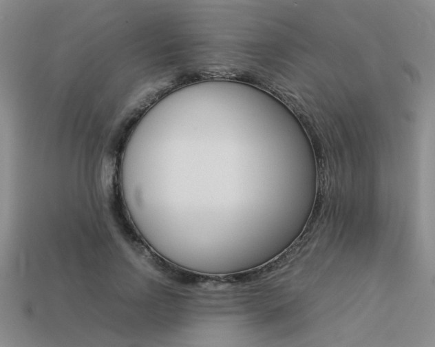 X0000113260742200909101249