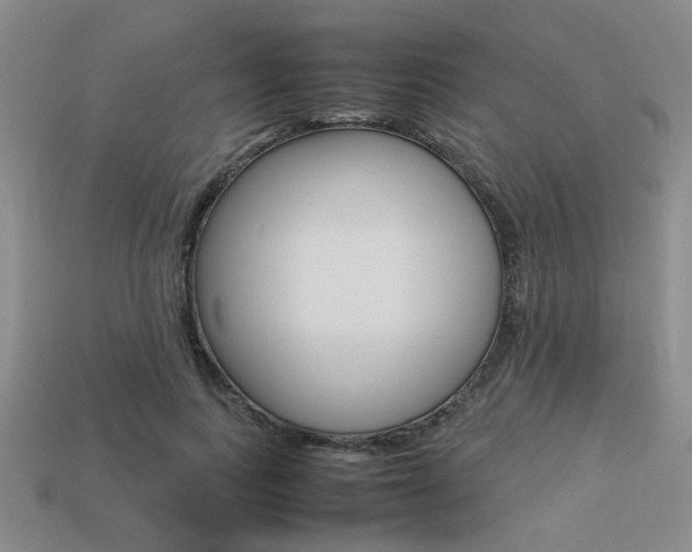 X0000113260743200909101250
