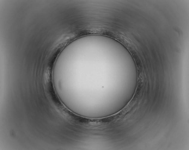 X0000113260744200909101250