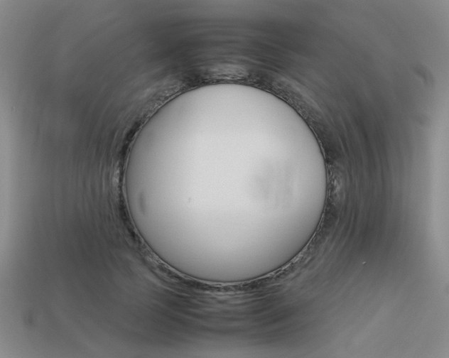 X0000113260745200909101250
