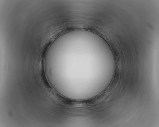 X0000113260746200909101250