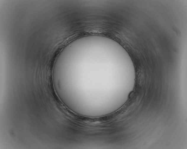 X0000113260747200909101250