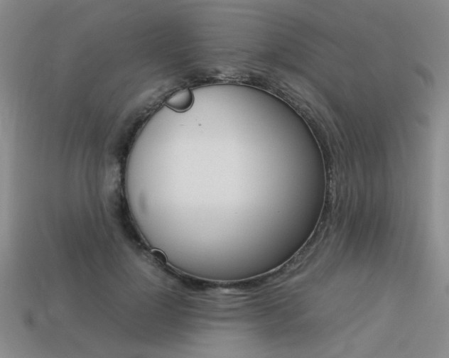 X0000113260748200909101250