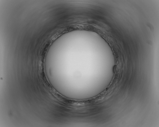 X0000113260749200909101250