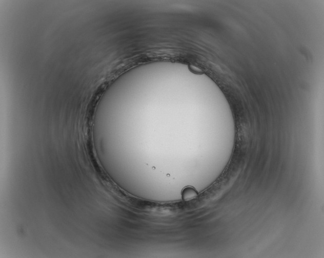 X0000113260751200909101250