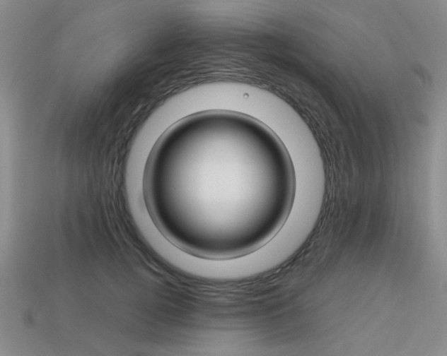 X0000113260752200909101250