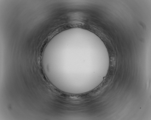 X0000113260753200909101250