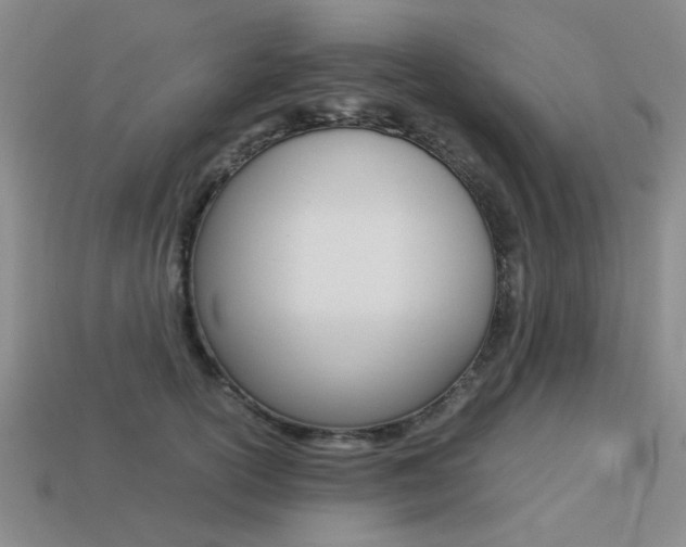 X0000113260754200909101250