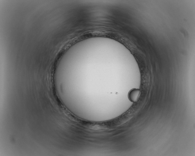 X0000113260755200909101250