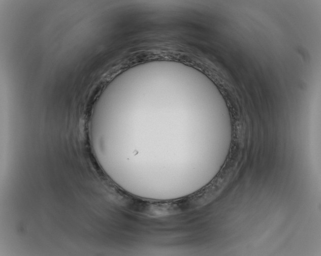 X0000113260757200909101250