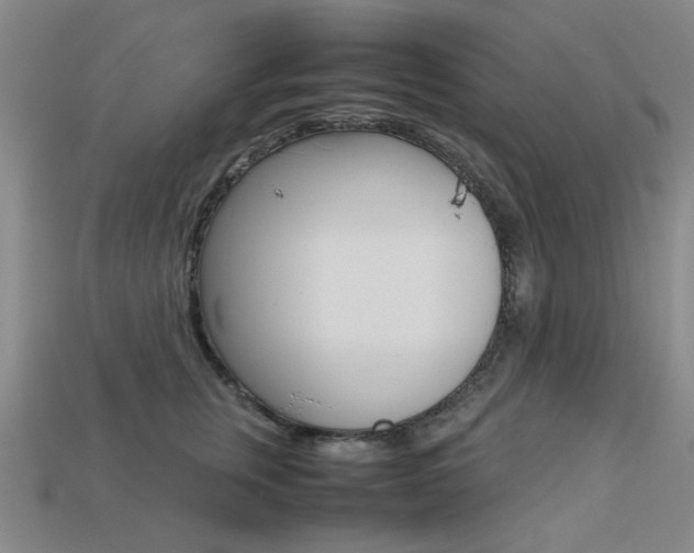 X0000113260759200909101250