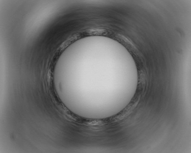 X0000113260761200909101250