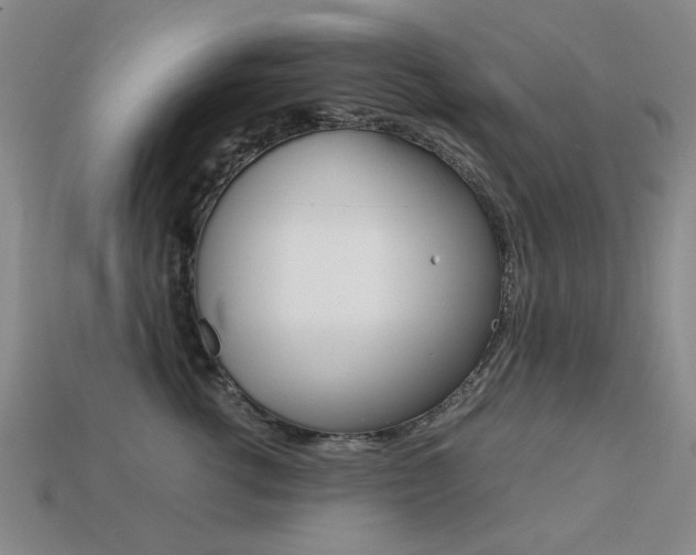 X0000113260762200909101250