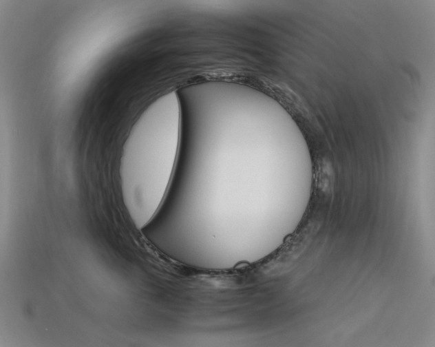 X0000113260763200909101250