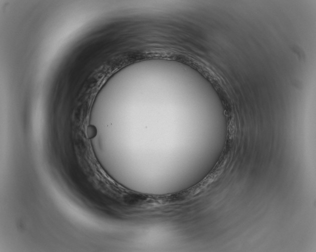 X0000113260764200909101250