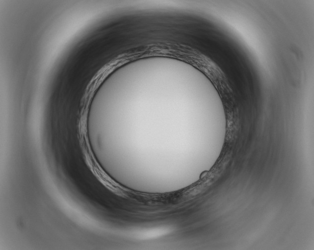 X0000113260765200909101250