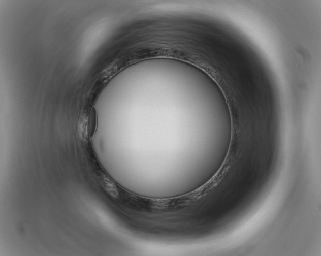 X0000113260766200909101250