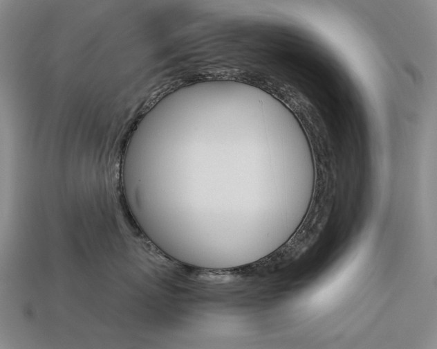 X0000113260767200909101250