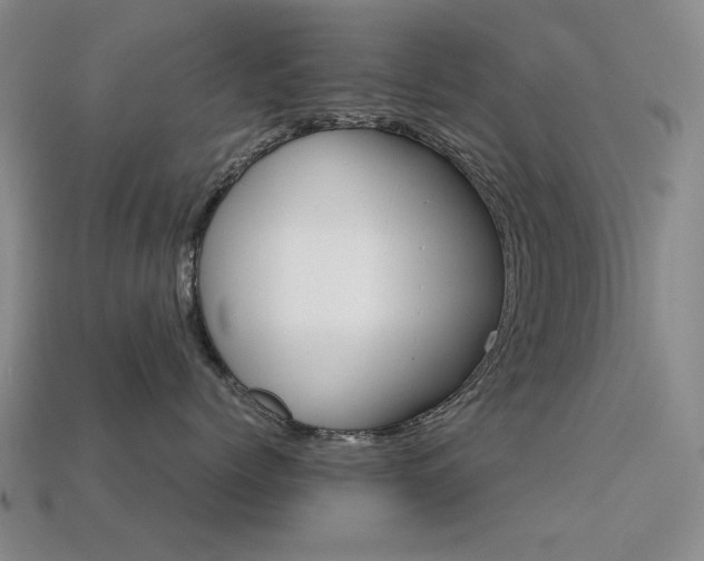 X0000113260768200909101250