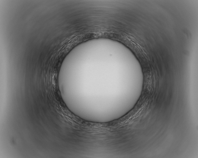 X0000113260770200909101249