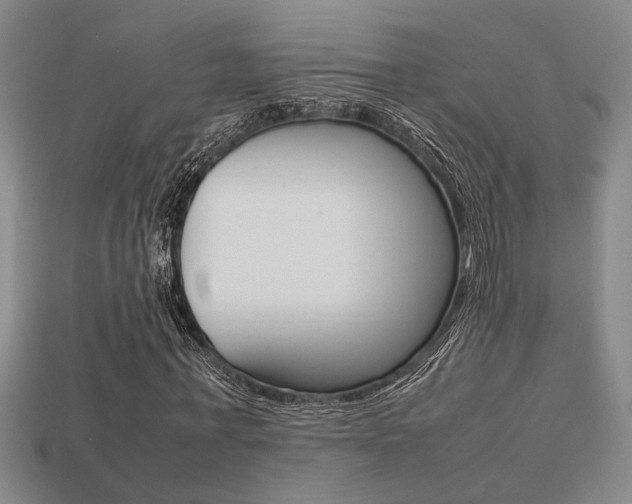 X0000113260771200909101249