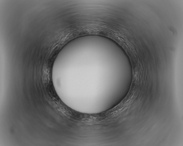 X0000113260772200909101249