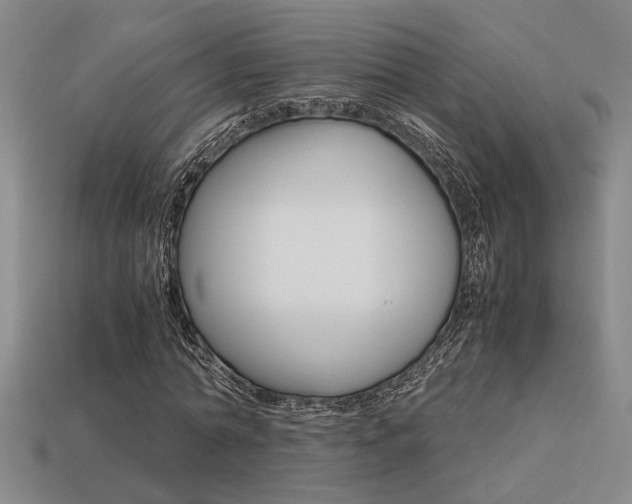 X0000113260774200909101249