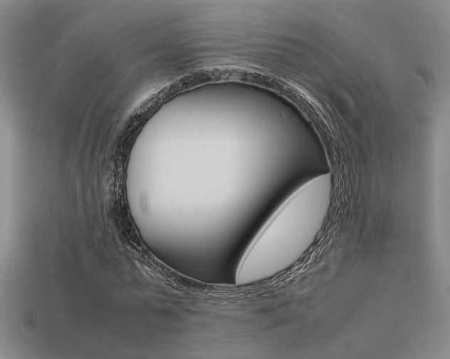 X0000113260775200909101249