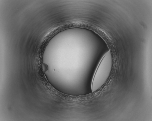 X0000113260776200909101249