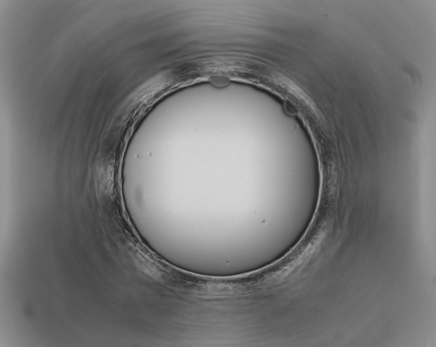 X0000113260777200909101249