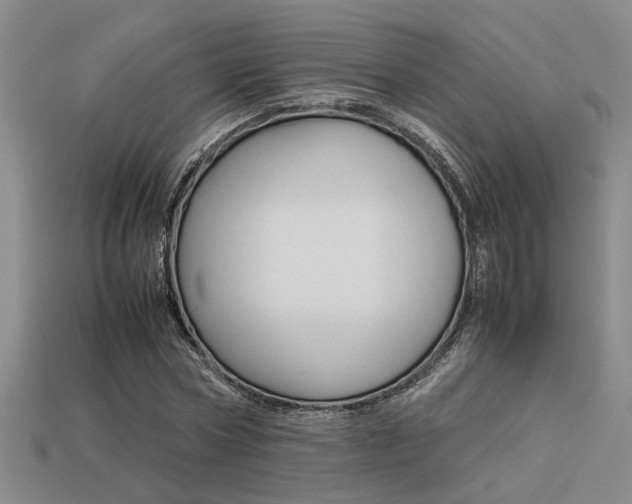 X0000113260778200909101249