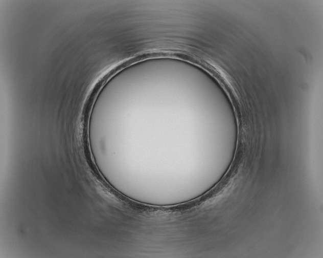 X0000113260779200909101249
