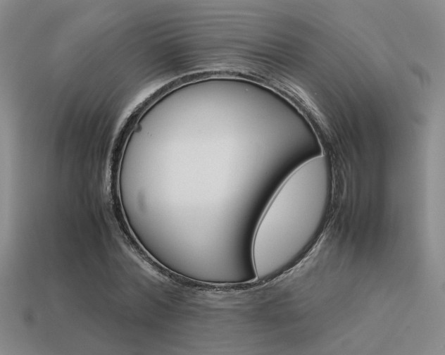 X0000113260780200909101249