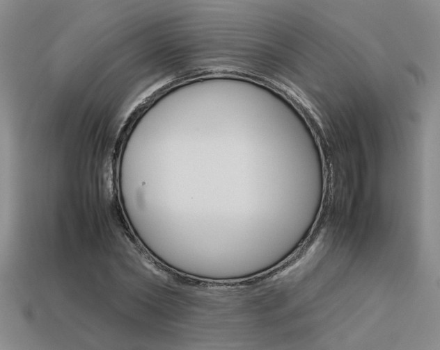 X0000113260782200909101249