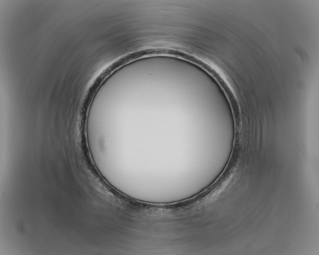 X0000113260783200909101249
