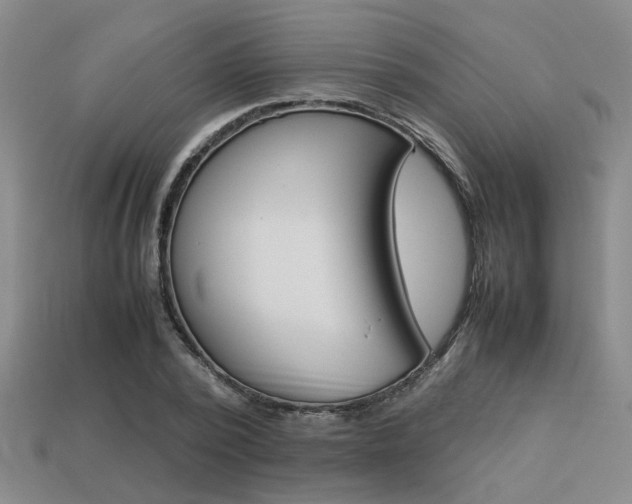 X0000113260784200909101249