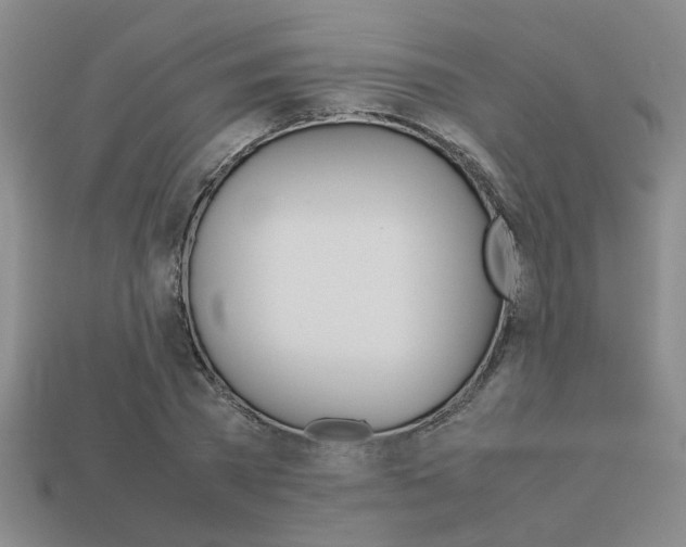 X0000113260785200909101249