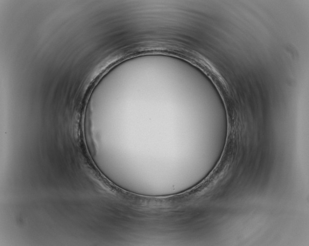 X0000113260786200909101249