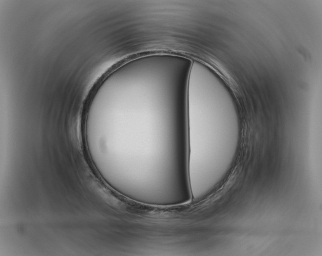 X0000113260788200909101249
