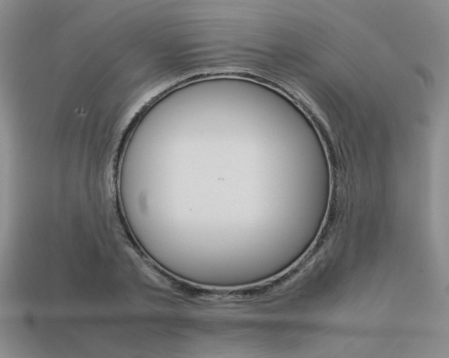 X0000113260789200909101249