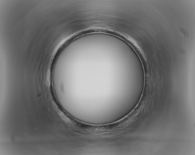 X0000113260791200909101249