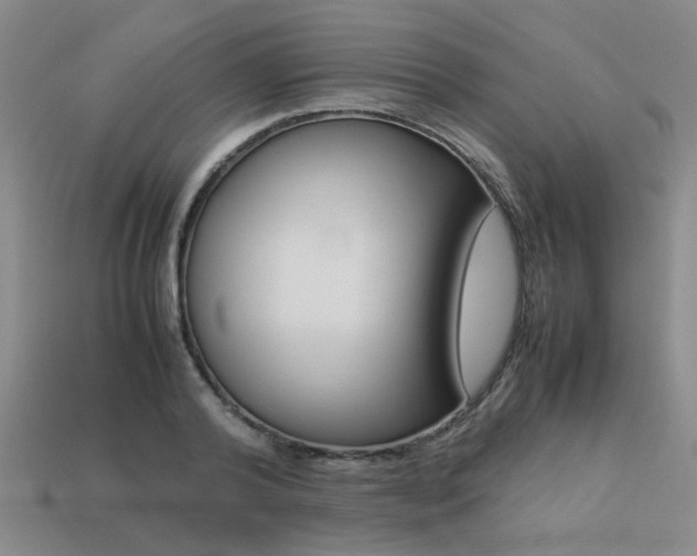 X0000113260792200909101249