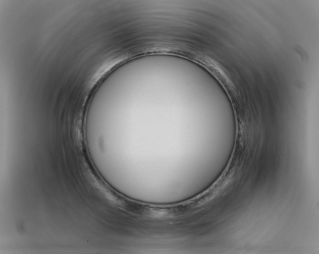 X0000113260794200909101249