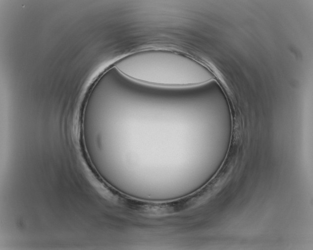 X0000113260795200909101249