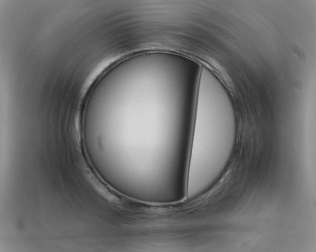 X0000113260796200909101249