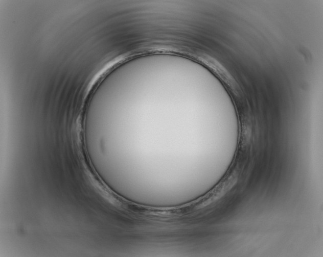 X0000113260798200909101249
